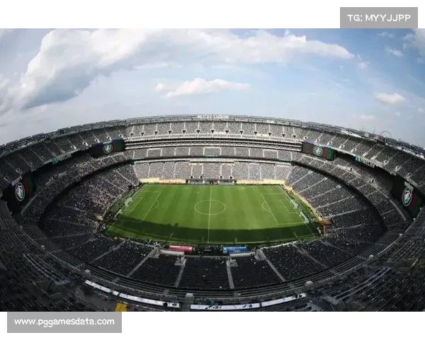 纽约新泽西体育场完成世界杯决赛草坪更换，耗资千万美元